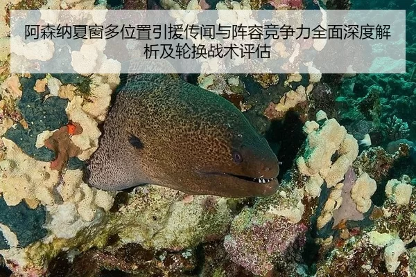 阿森纳夏窗多位置引援传闻与阵容竞争力全面深度解析及轮换战术评估