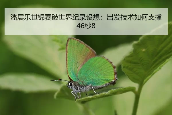 pan-zhan-le-shi-jin-sai-po-shi-jie-ji-lu-she-xiang-chu-fa-ji-shu-ru-he-zhi-cheng-miao-3-663.jpg